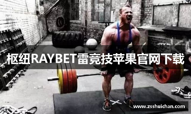 枢纽RAYBET雷竞技苹果官网下载